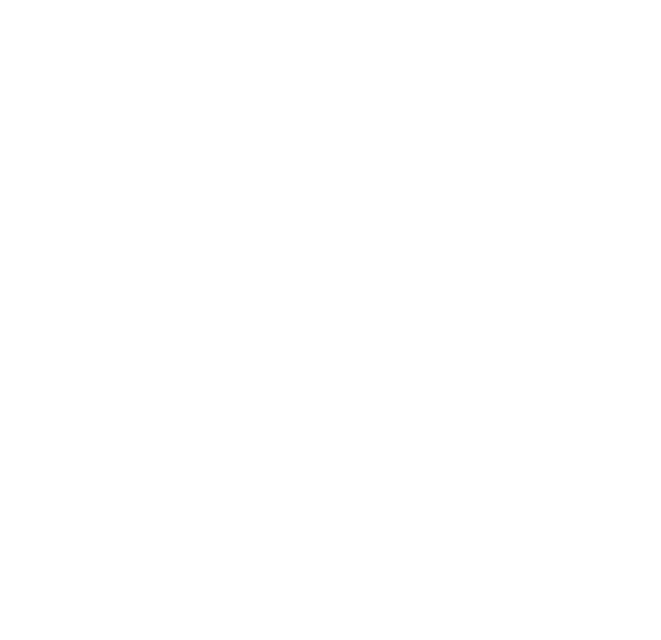 Ballinlee-Logo-white